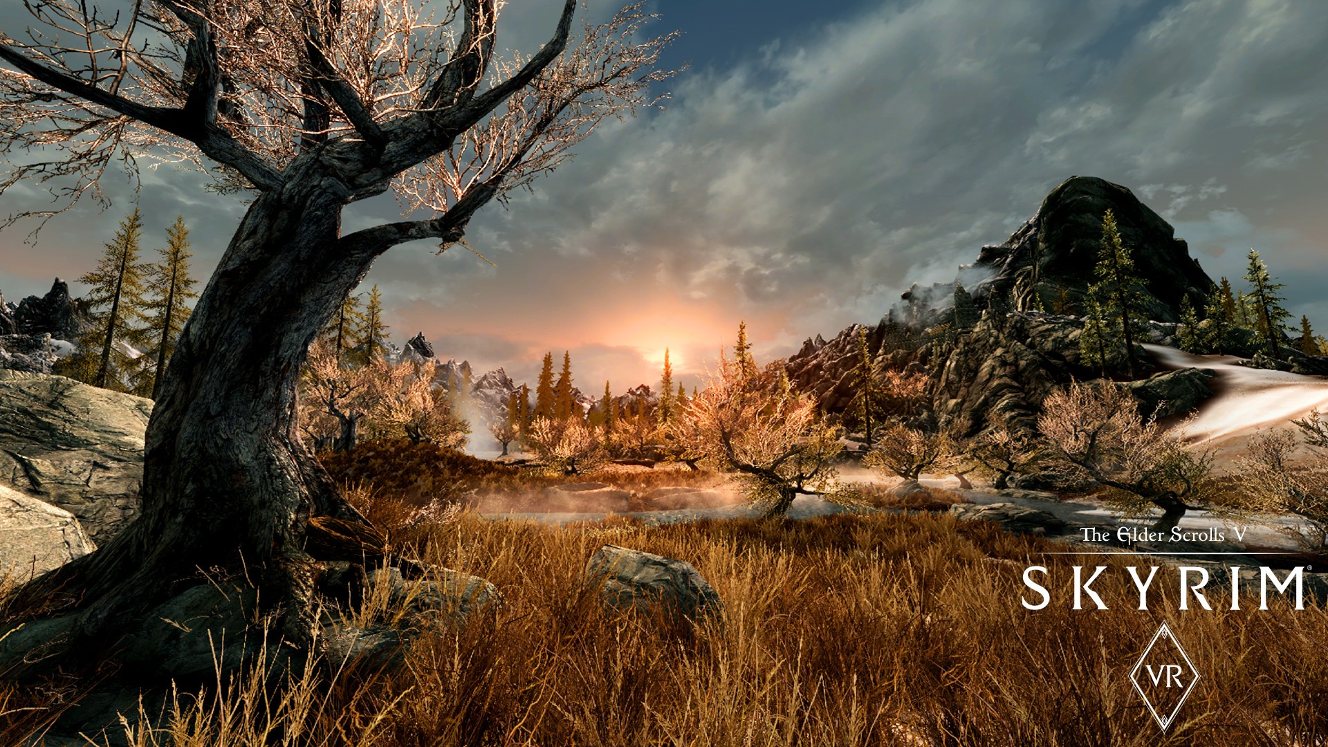 Buy The Elder Scrolls V Skyrim Vr Steam